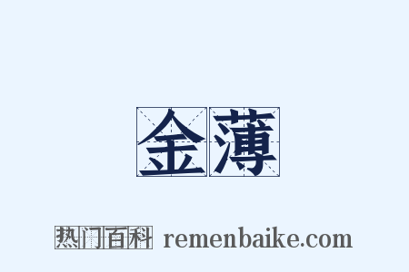 金薄是什么意思的图片